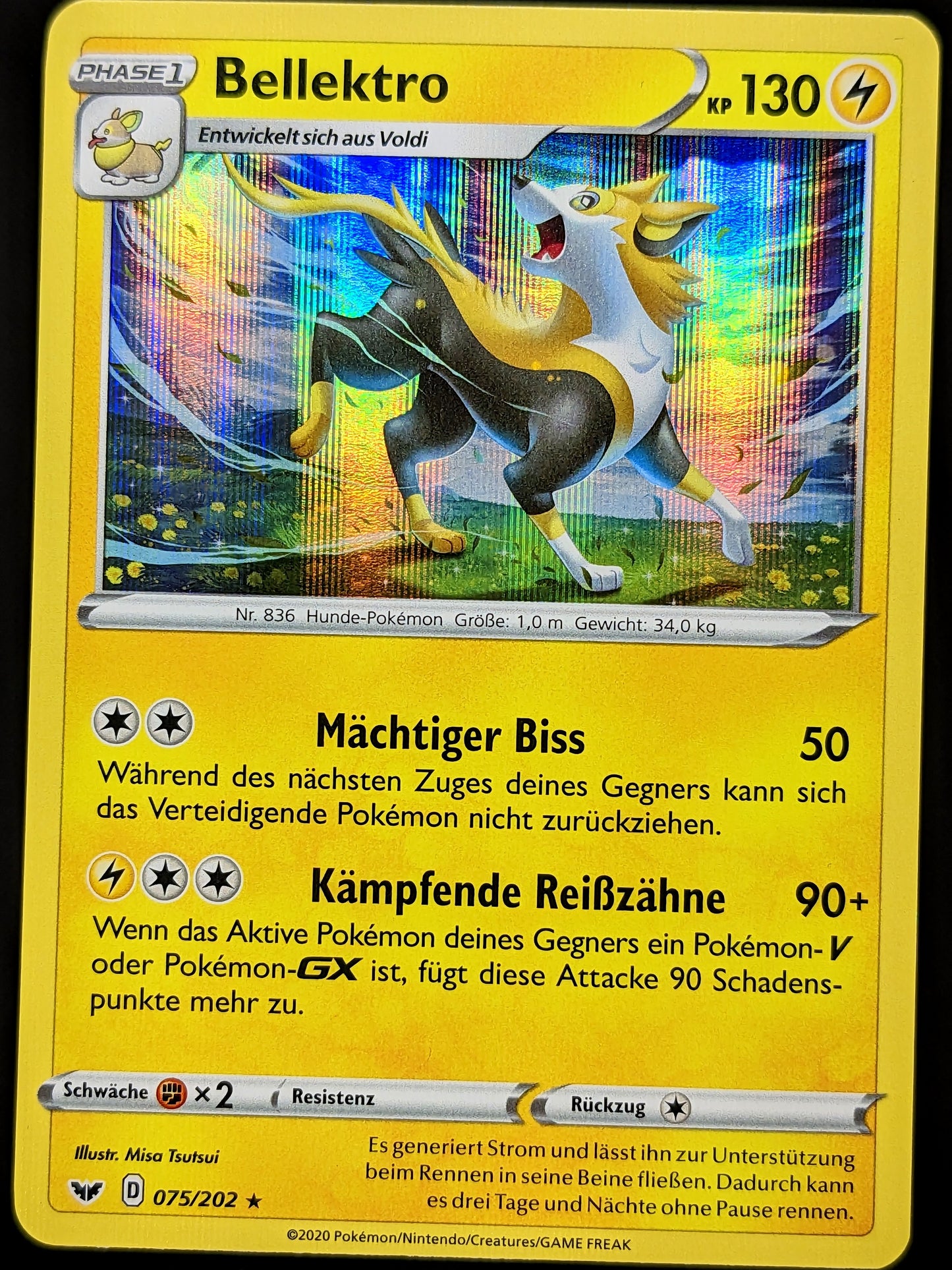 Bellektro Holo 075/202 DE