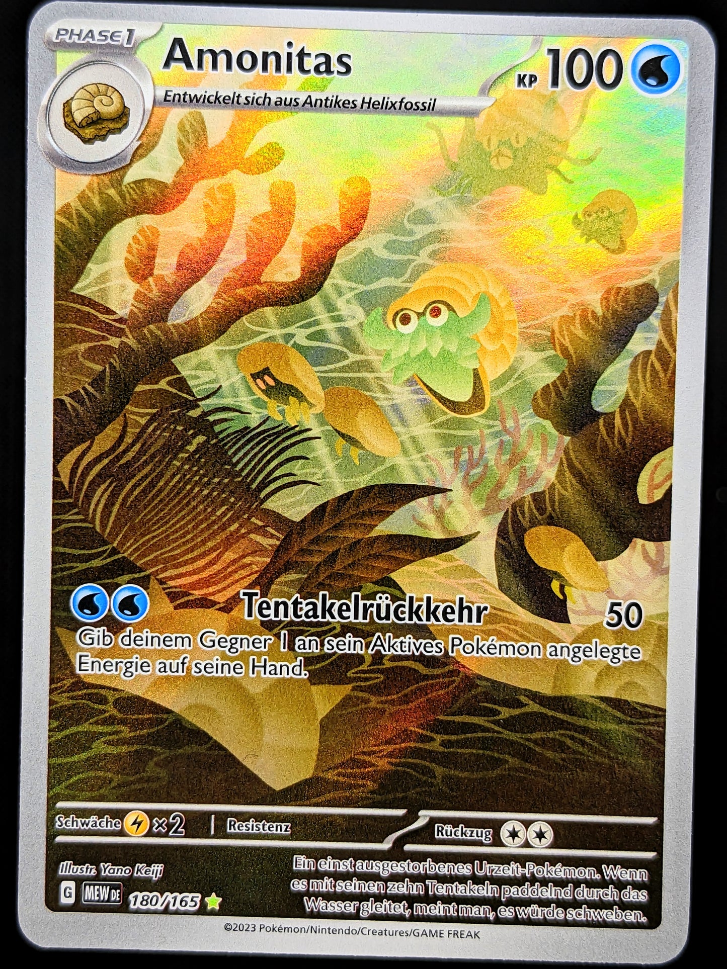 Amonitas 180/165 Illustration Rare DE