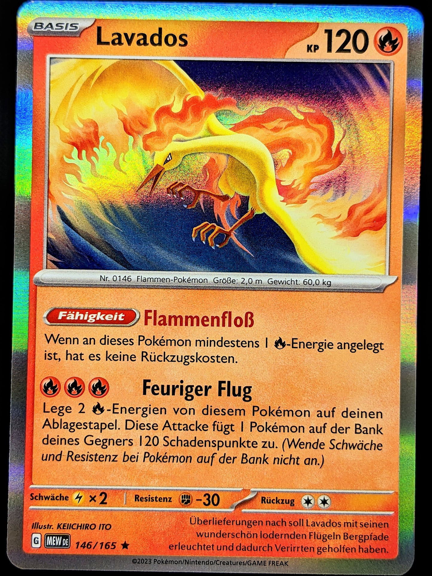 Lavados Holo 146/165 DE