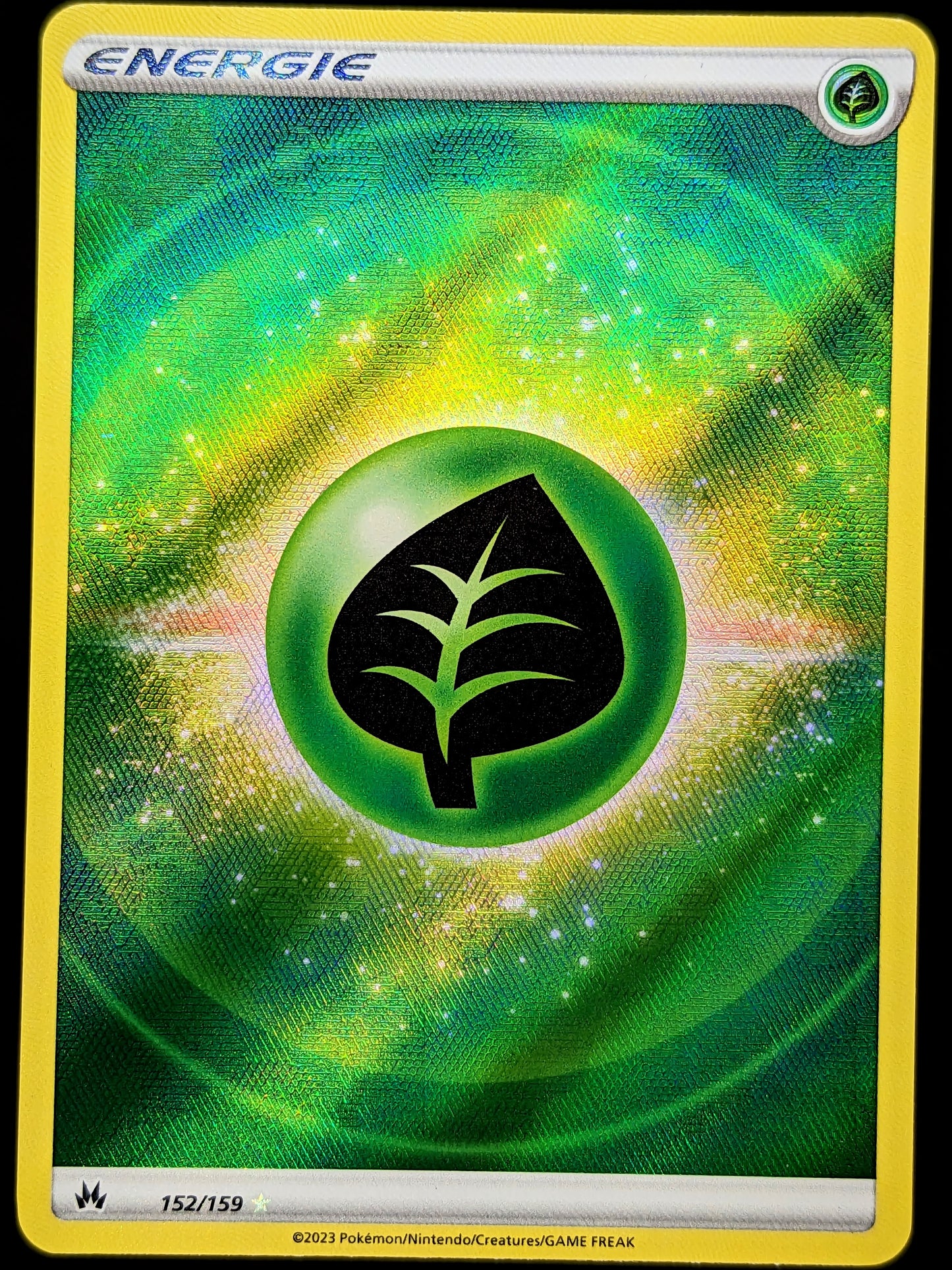 Pflanzen-Energie 152/159 DE