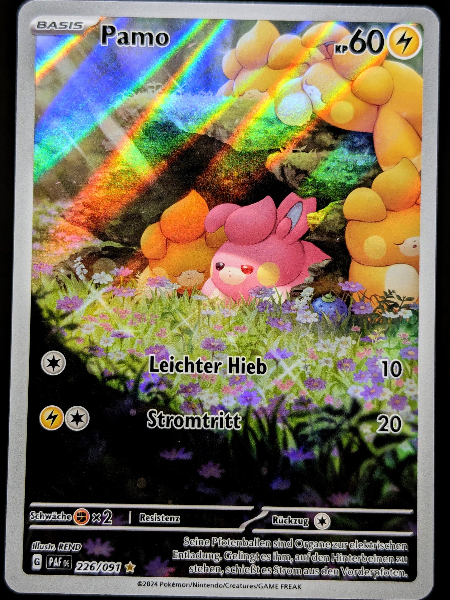Pamo 226/091 Illustration Rare DE