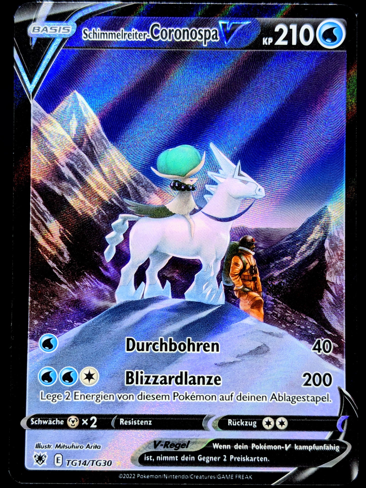 Schimmelreiter-Coronospa V TG14/TG30 DE