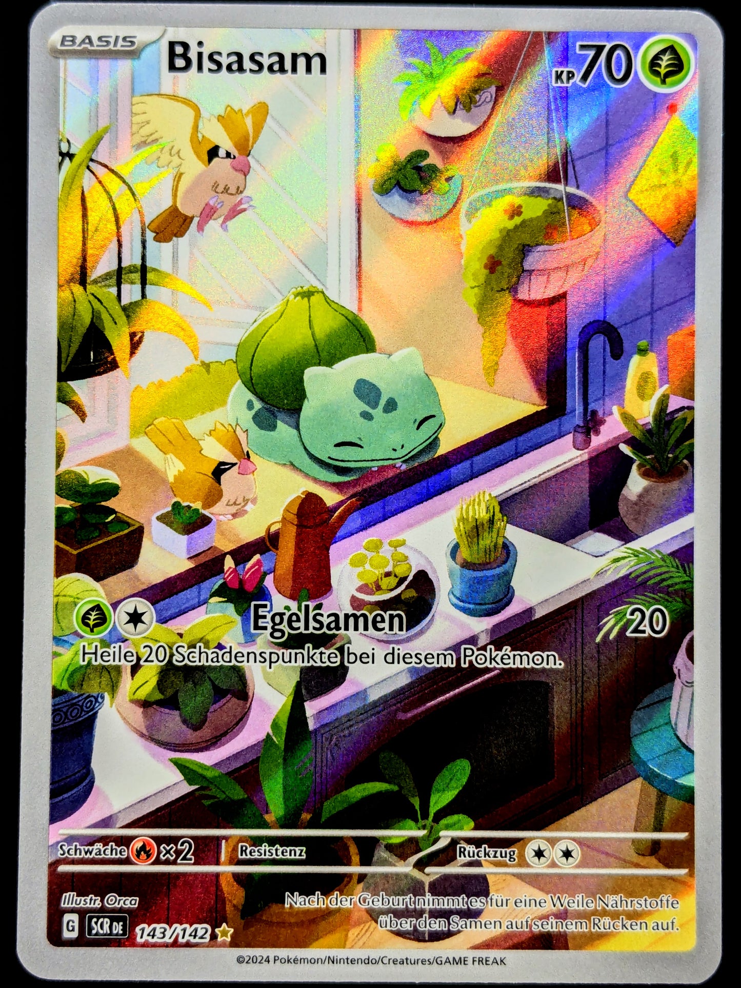 Bisasam 143/142 Illustration Rare DE