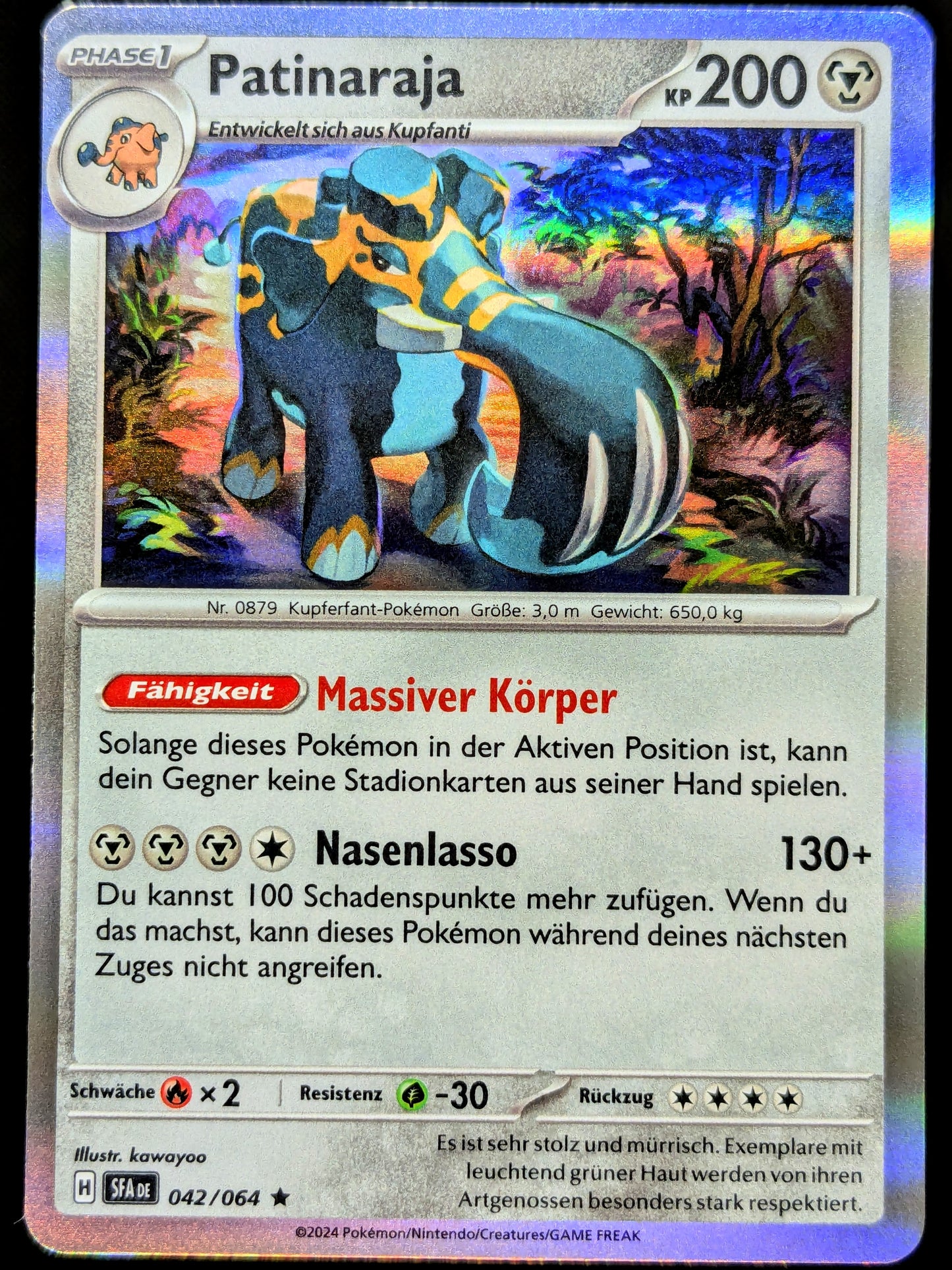 Patinaraja Holo 042/064 DE