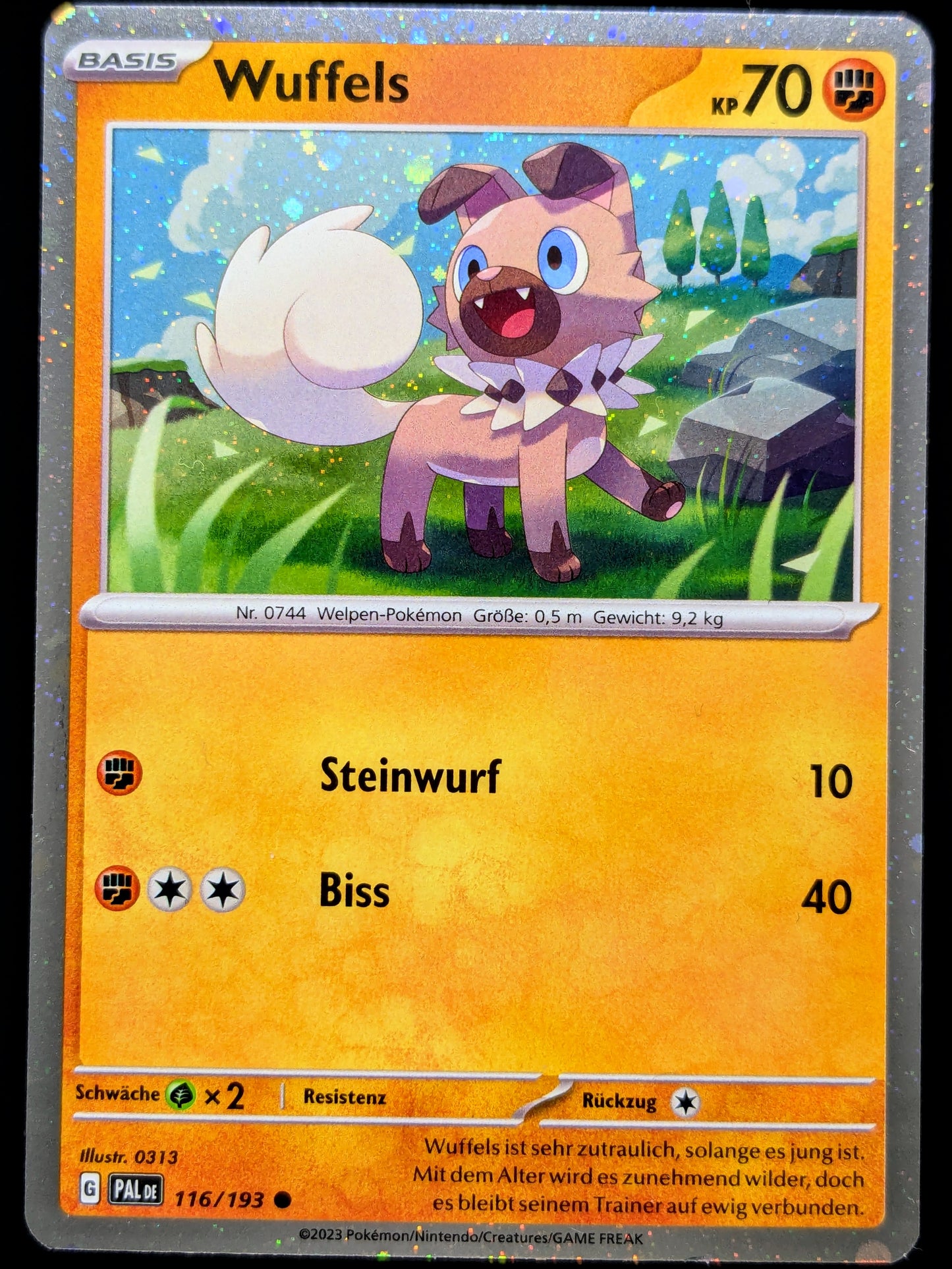 Wuffels Holo 116/193 DE