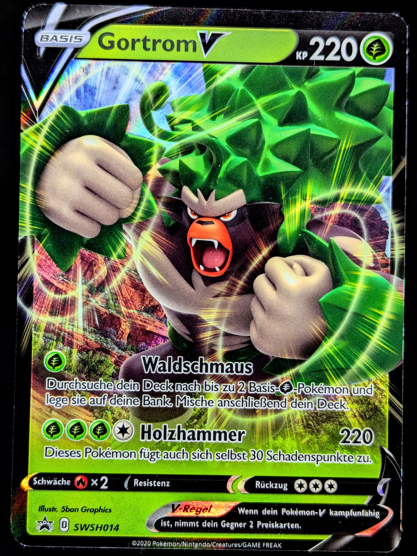 Gortrom V Promo SWSH014 DE