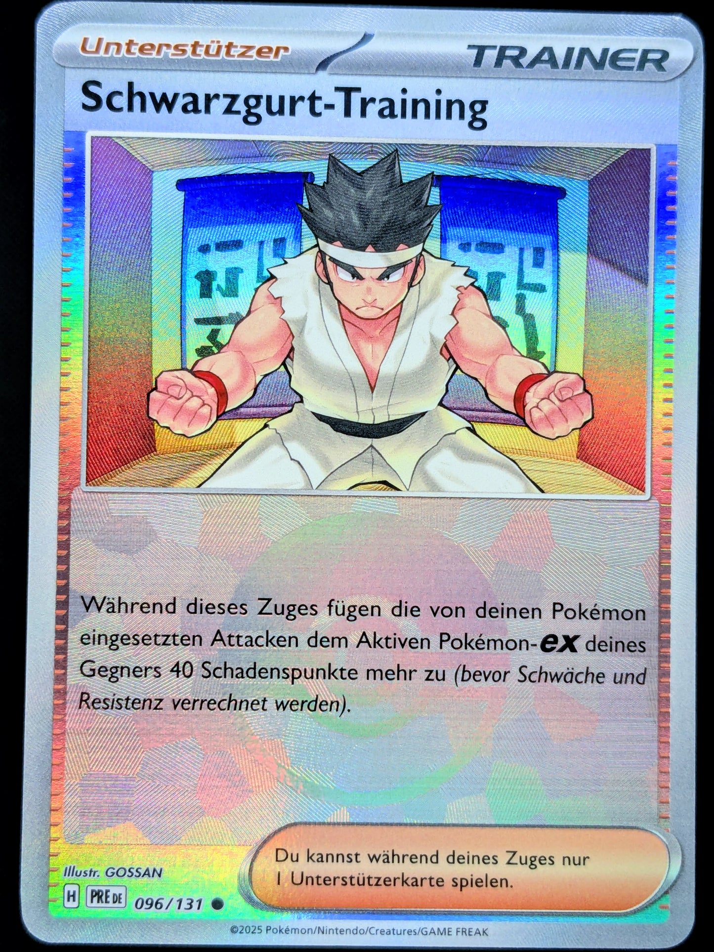Schwarzgurt-Training Pokéball 096/131 DE