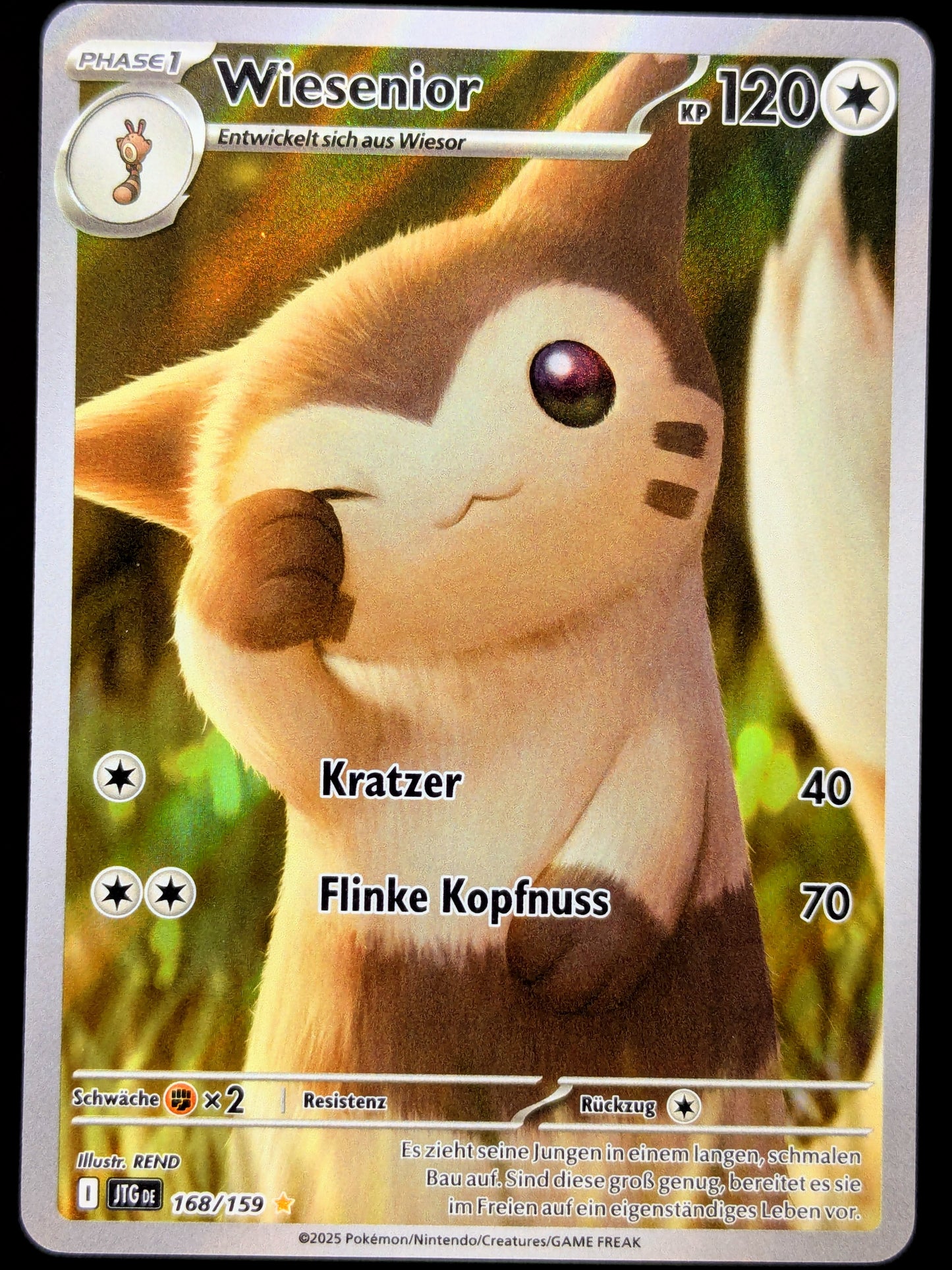 Wiesenior 168/159 Illustration Rare DE