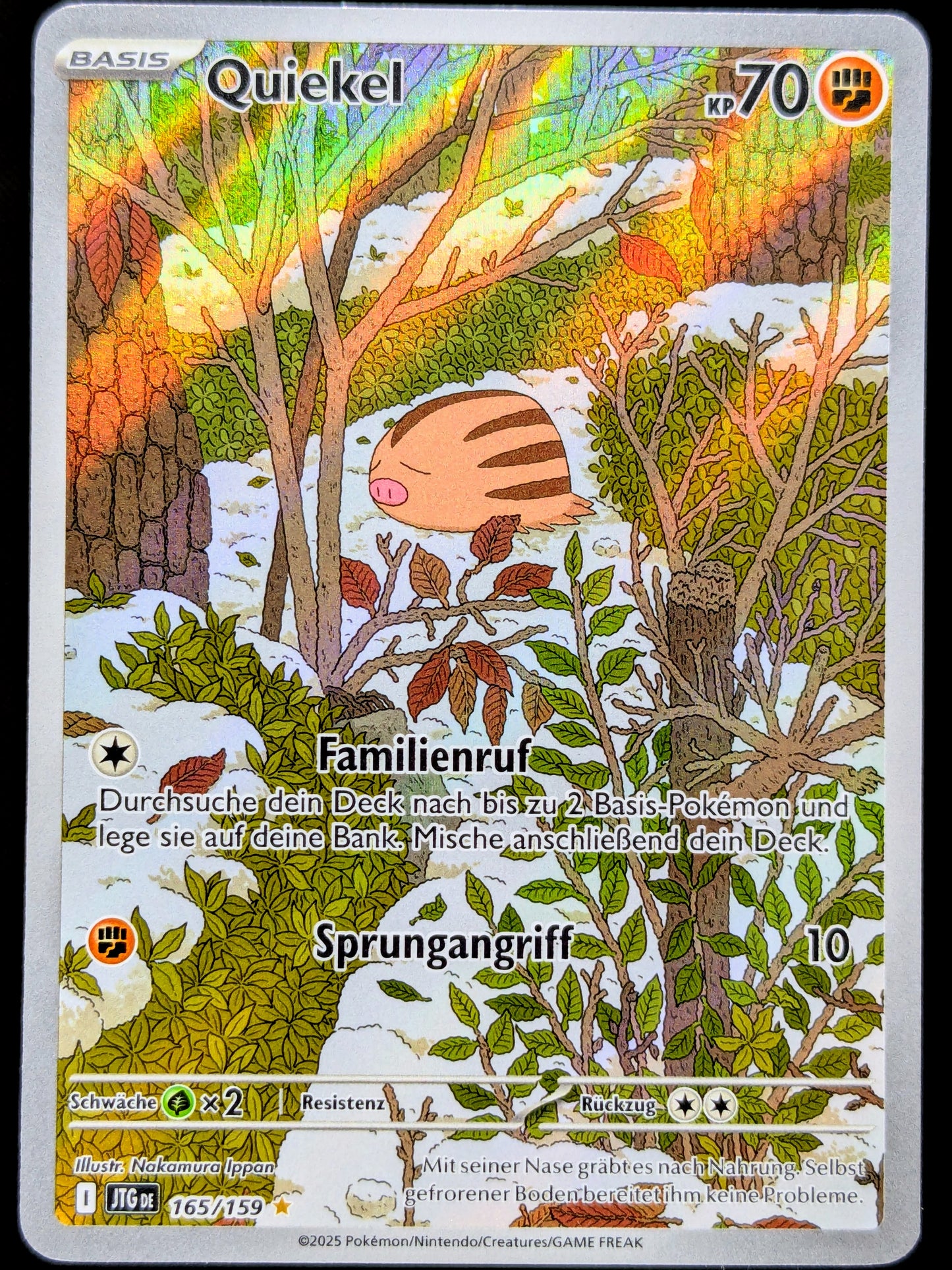 Quiekel 165/159 Illustration Rare DE