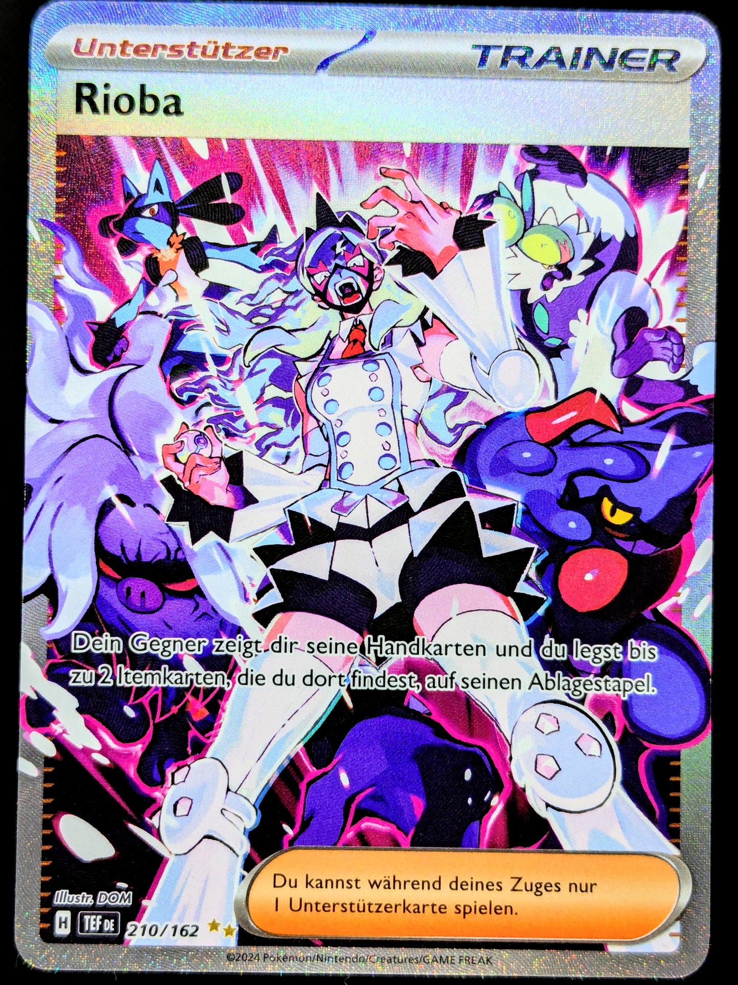 Rioba 210/162 Special Illustration Rare DE