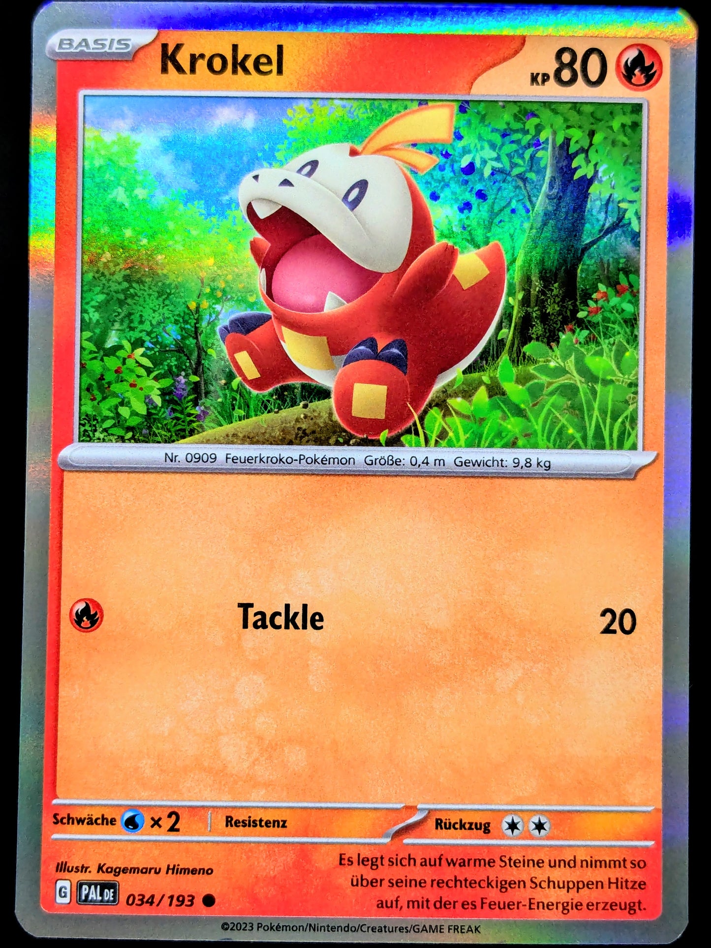 Krokel Holo 034/193 DE