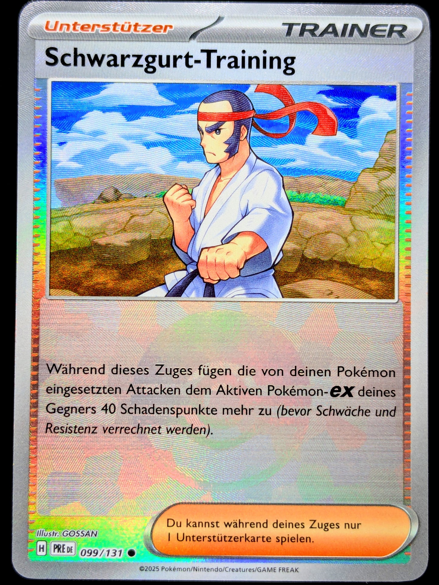 Schwarzgurt-Training Pokéball 099/131 DE