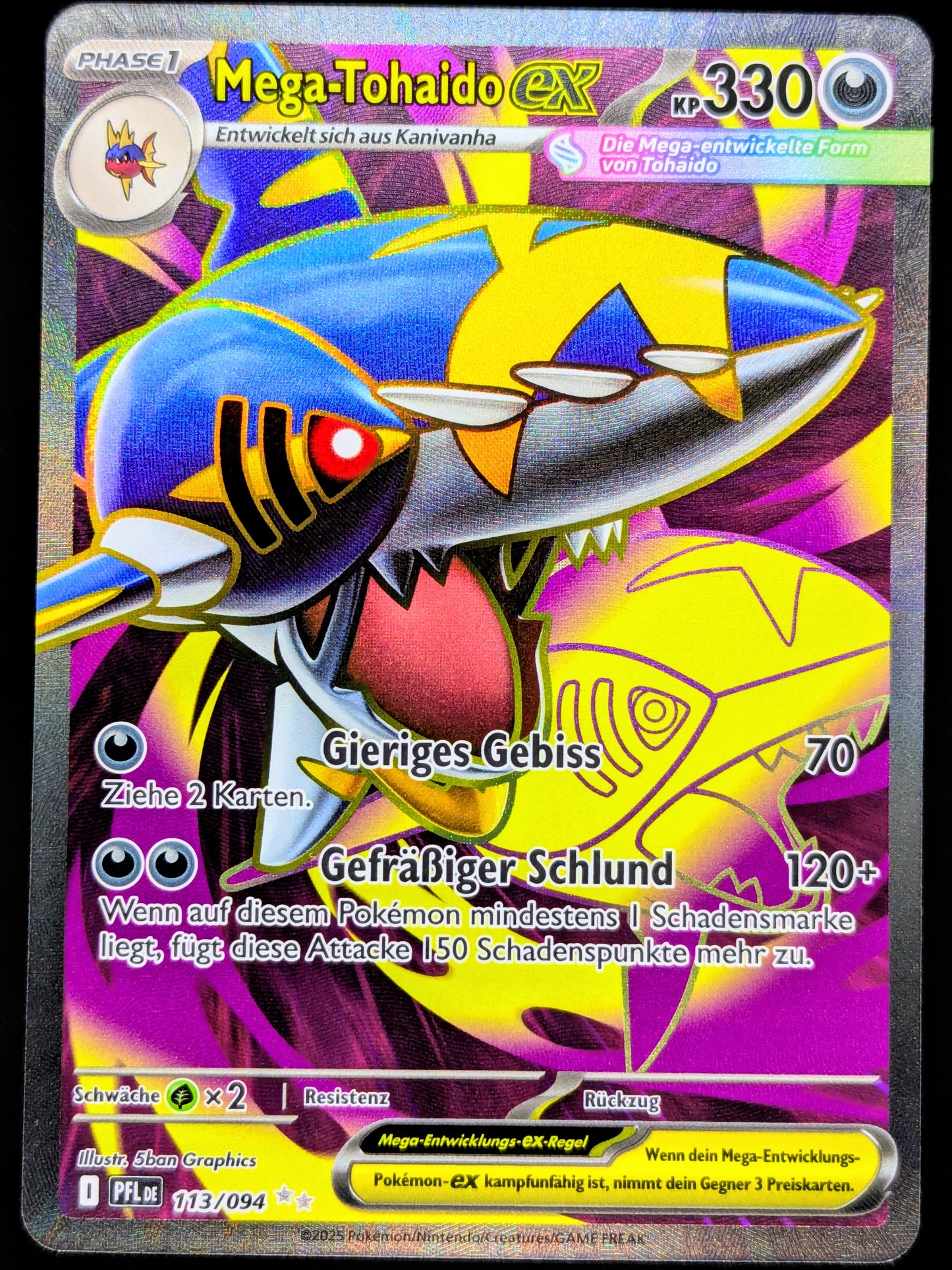 Mega-Tohaido Ex Full Art 113/094 DE