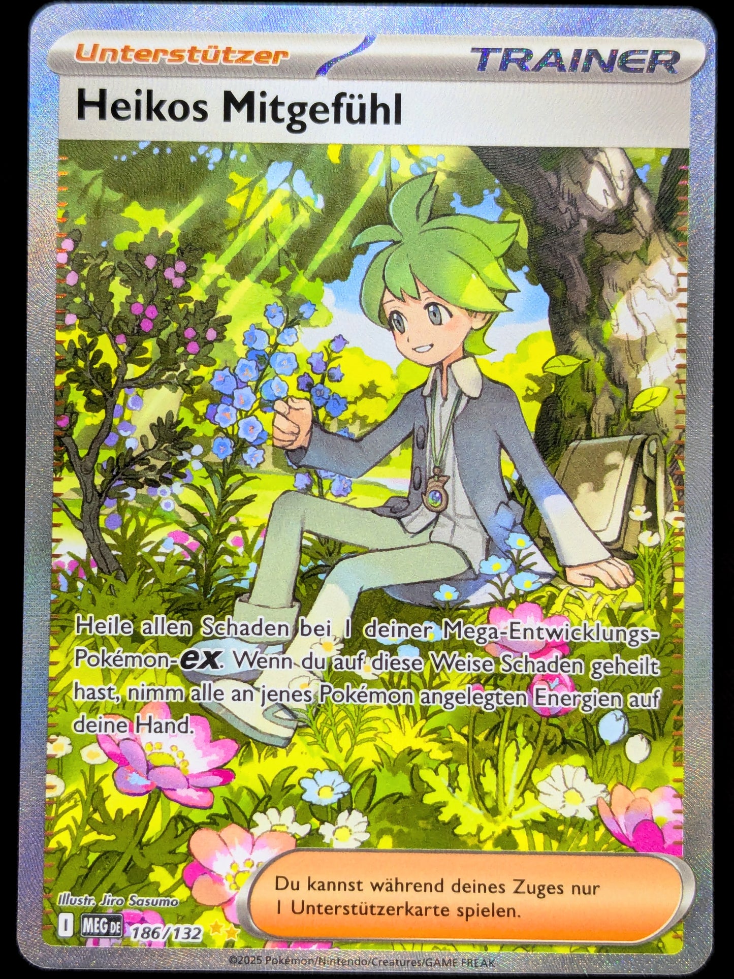 Heikos Mitgefühl 186/132 Special Illustration Rare DE