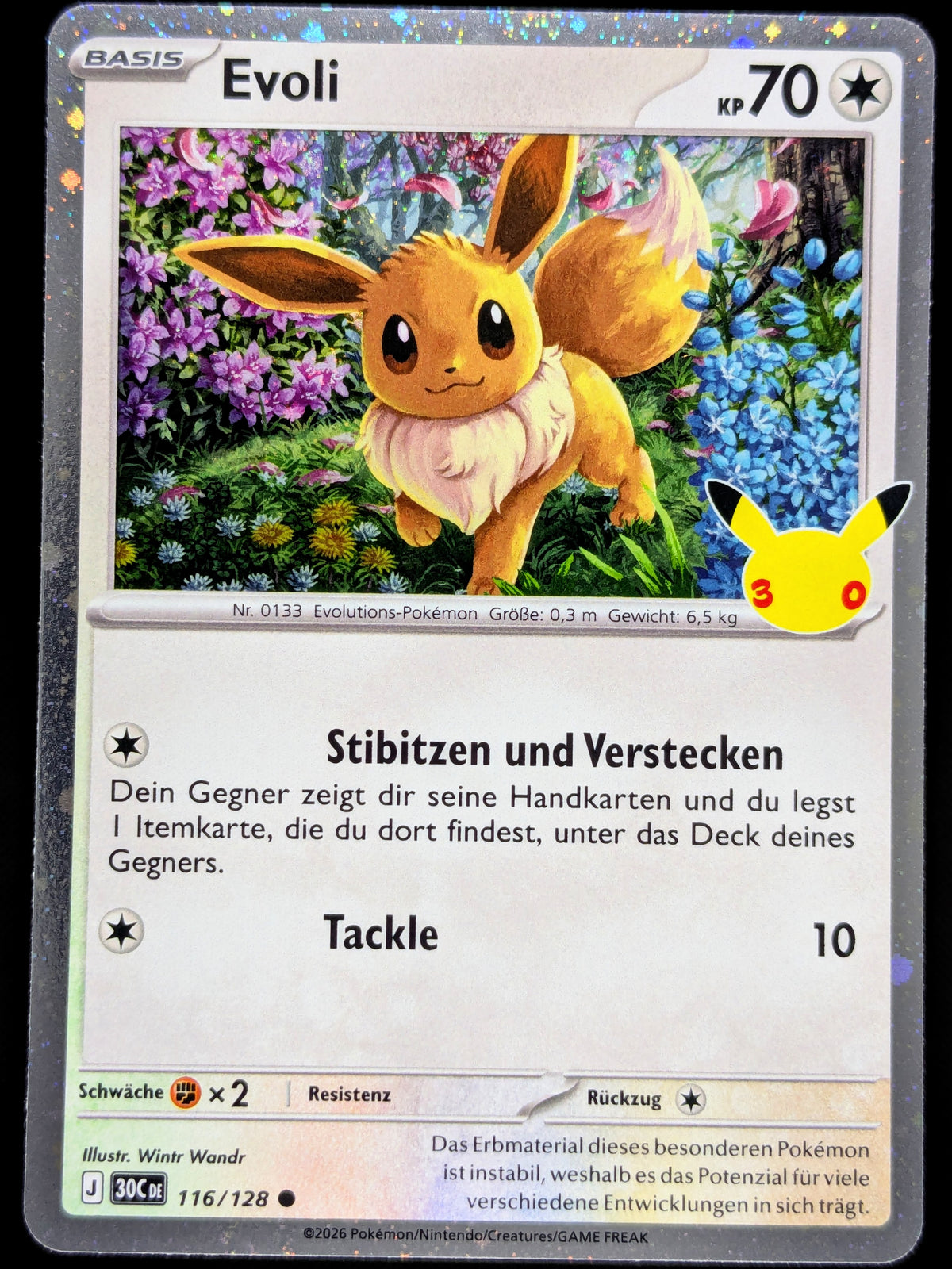 Evoli Holo 116/128 DE