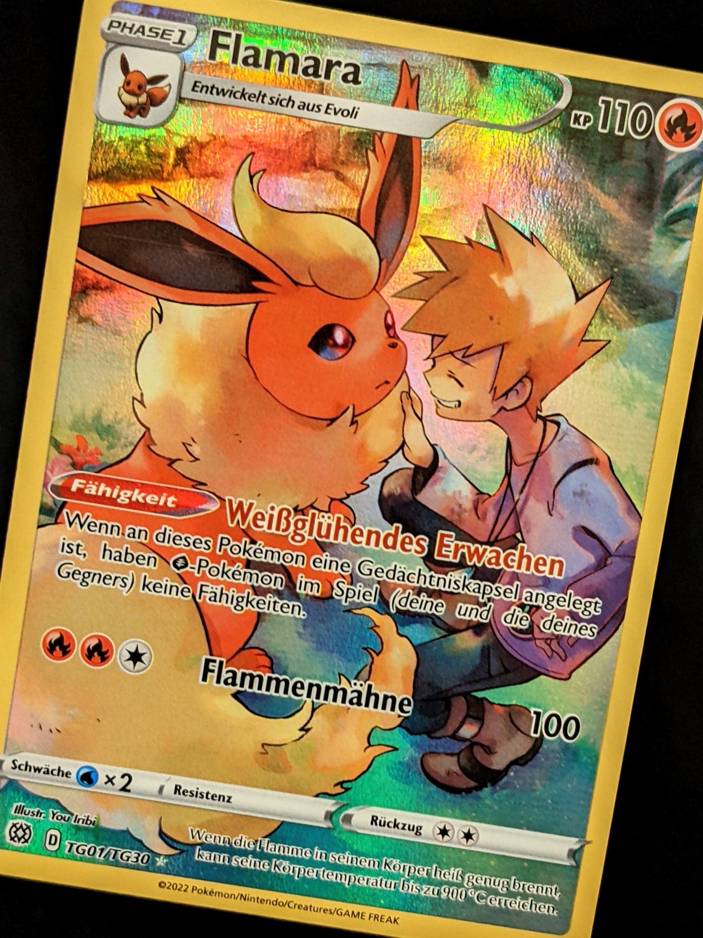 Flamara TG01/TG30 DE