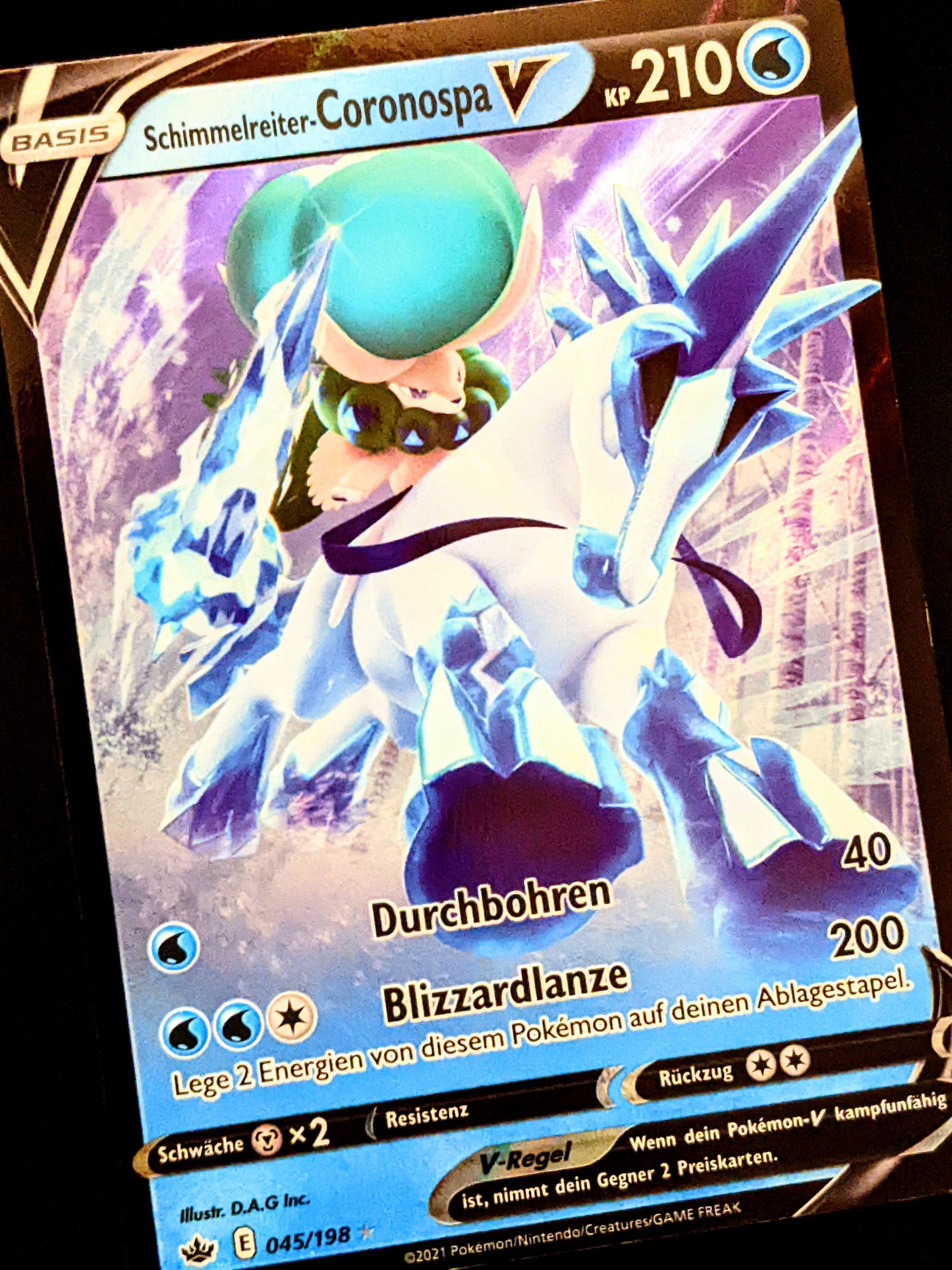 Schimmelreiter-Coronospa V 045/198 DE