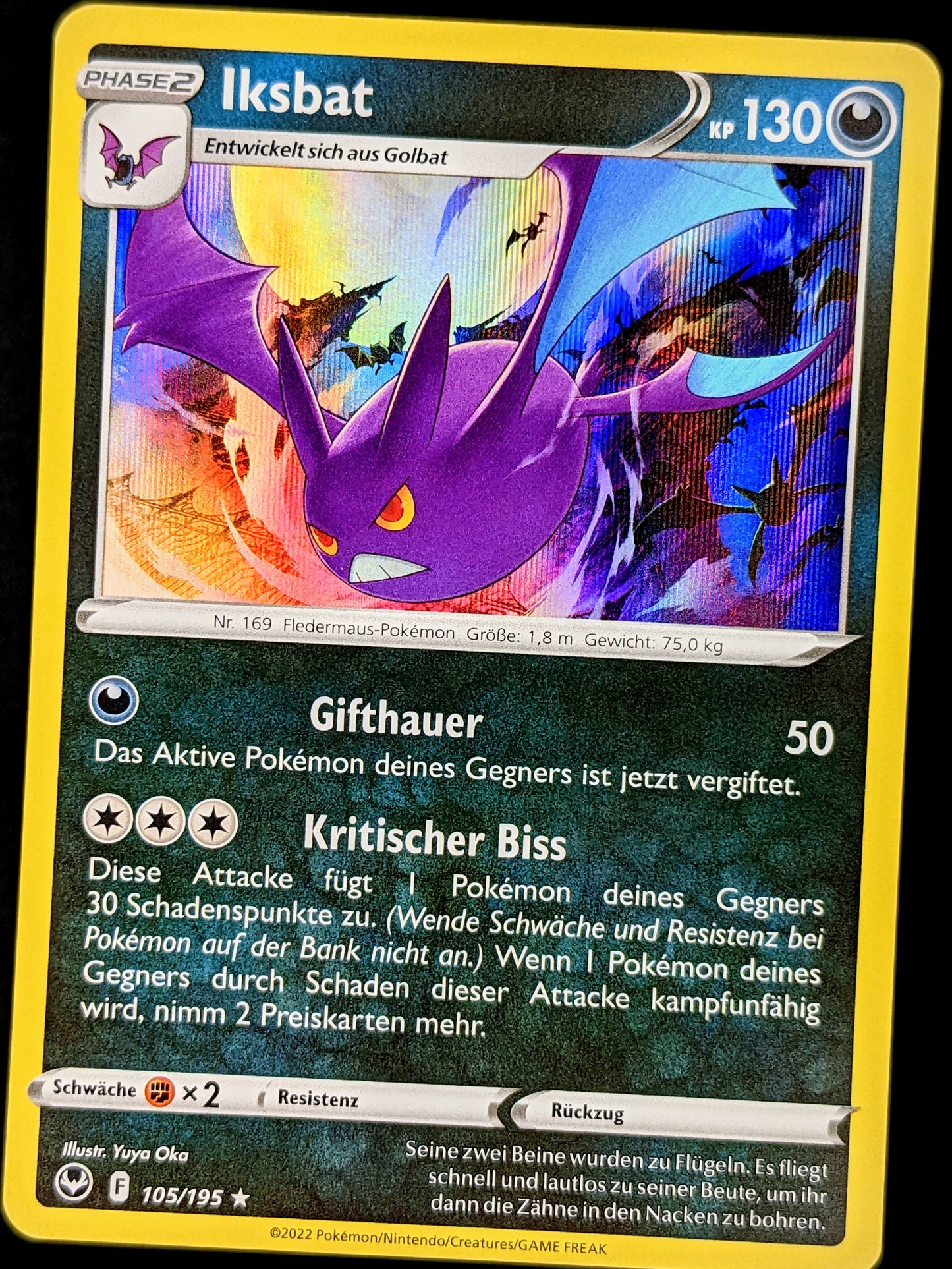 Iksbat Holo 105/195 DE