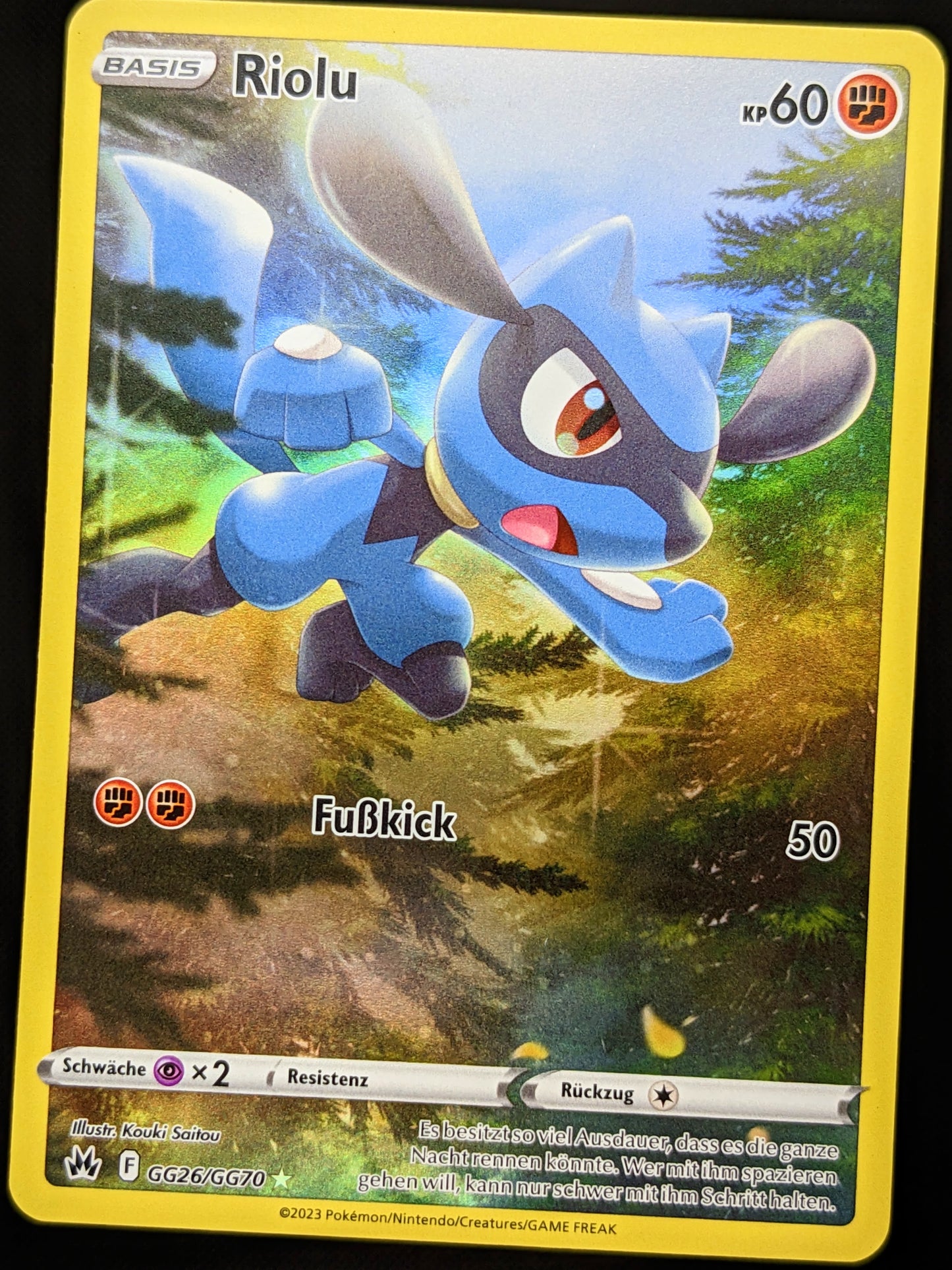 Riolu GG26/GG70 DE