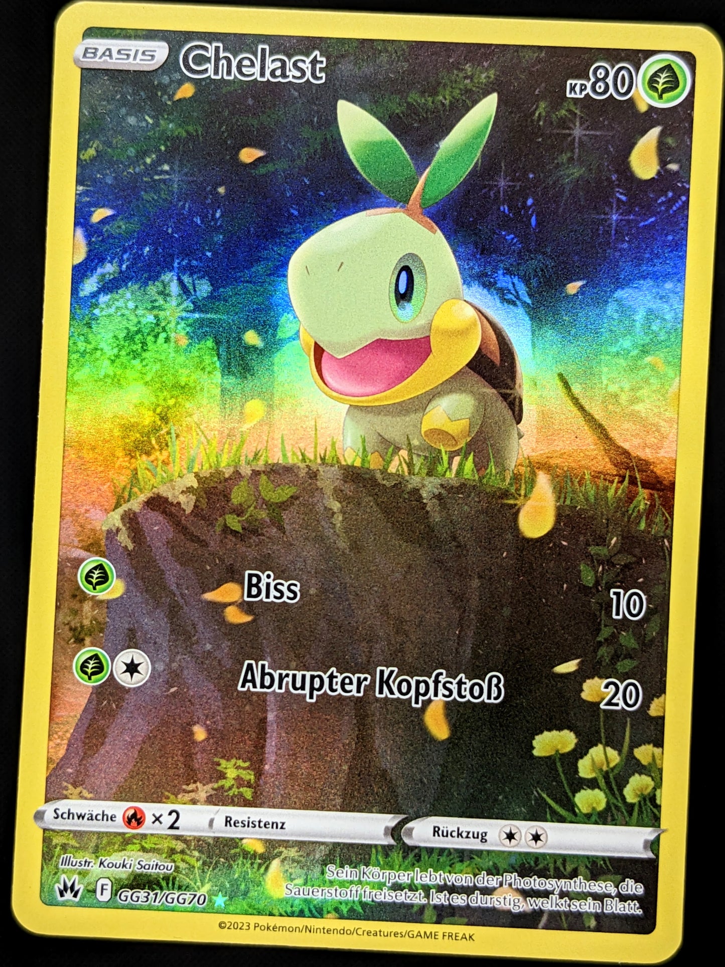 Chelast GG31/GG70 DE