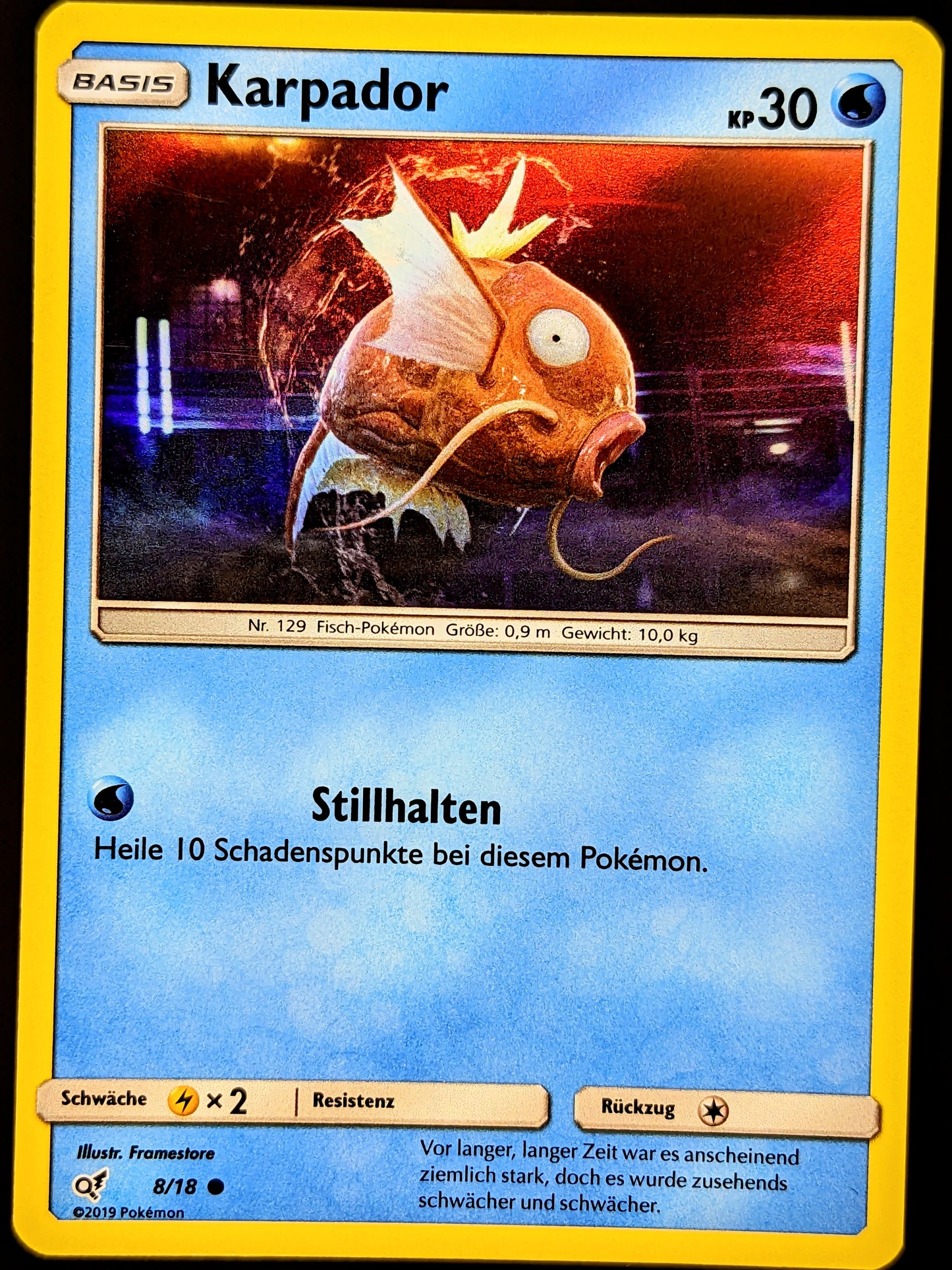 Karpador Holo 8/18 DE
