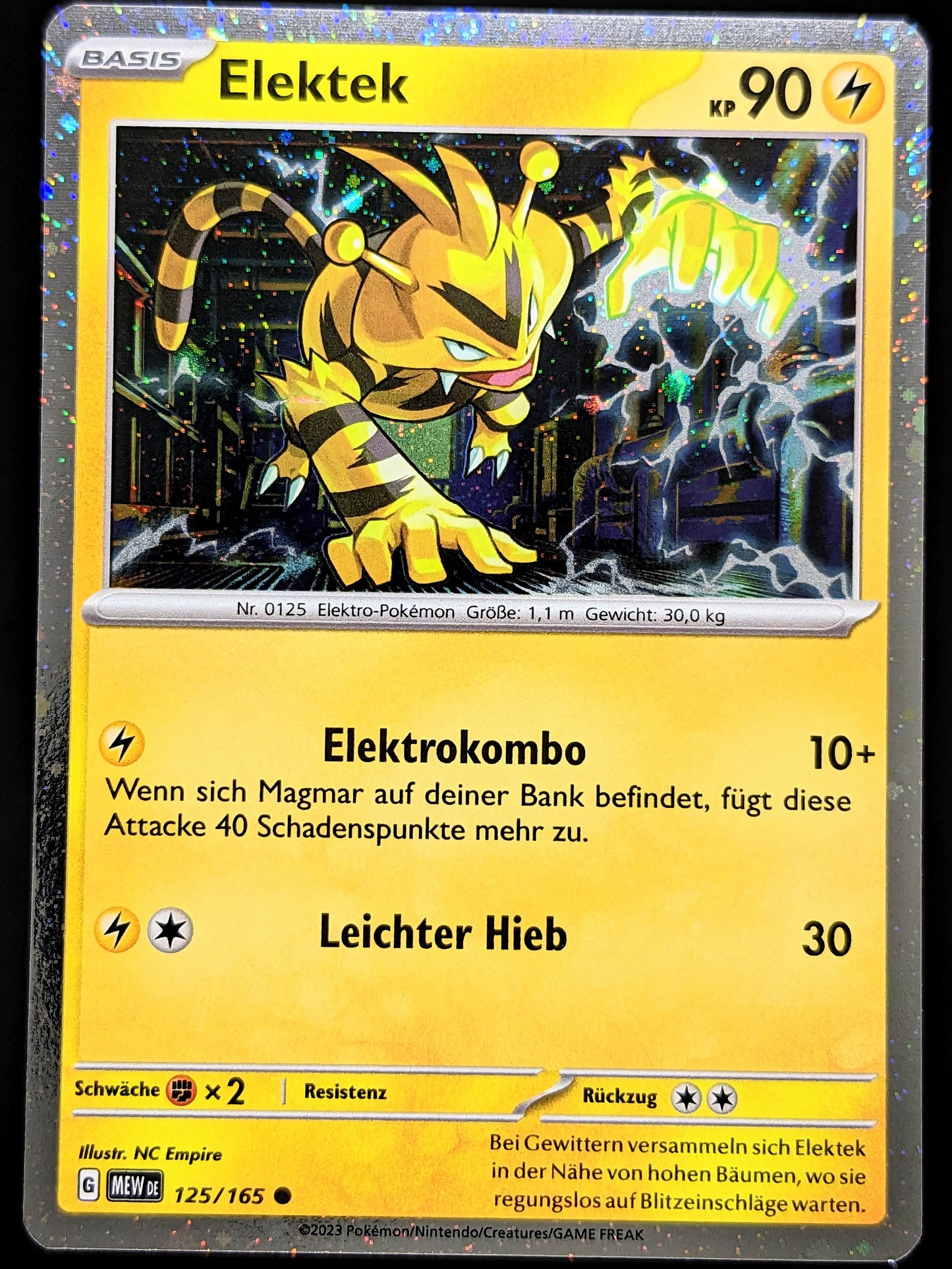 Elektek Holo 125/165 DE