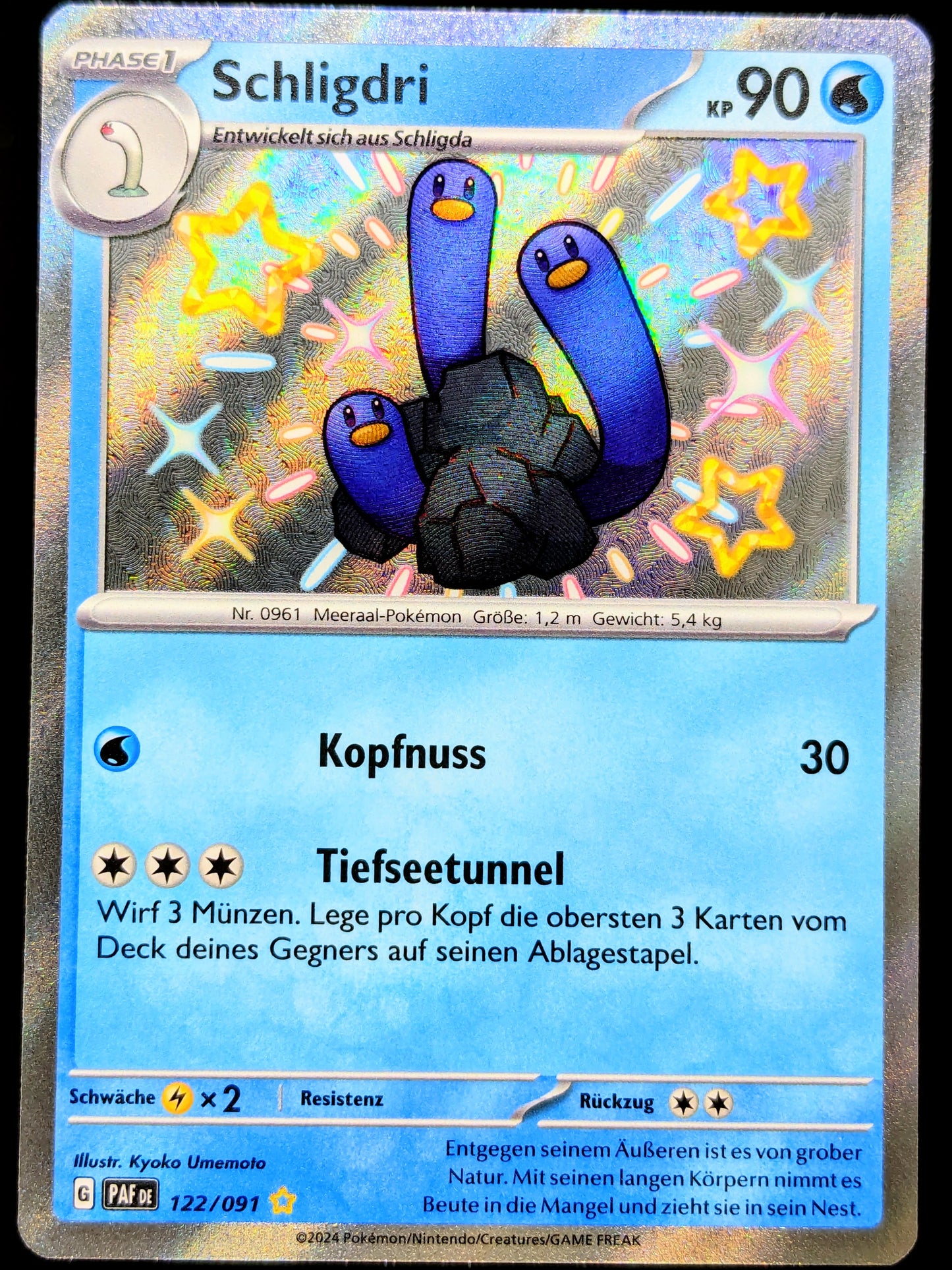 Schligdri Shiny 122/091 DE
