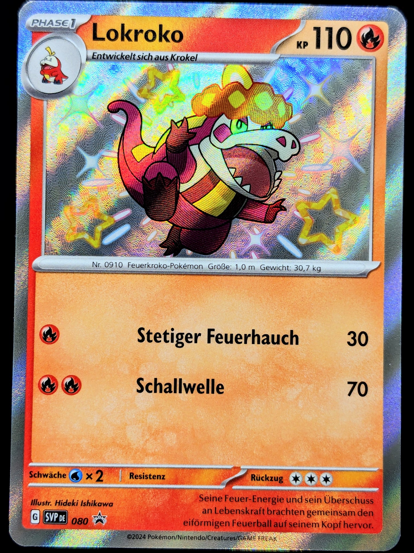 Lokroko Shiny SVP080 DE