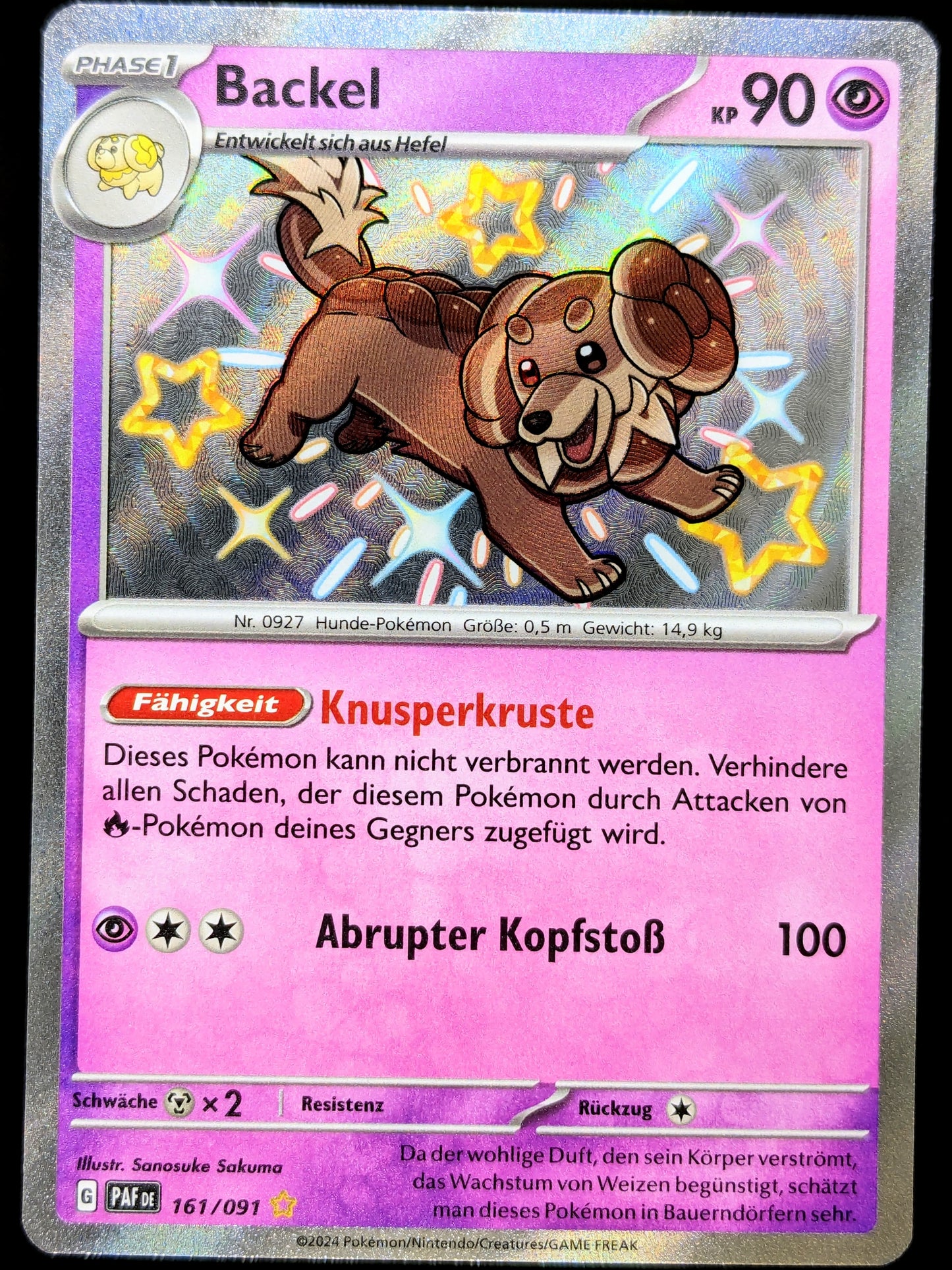 Backel Shiny 161/091 DE