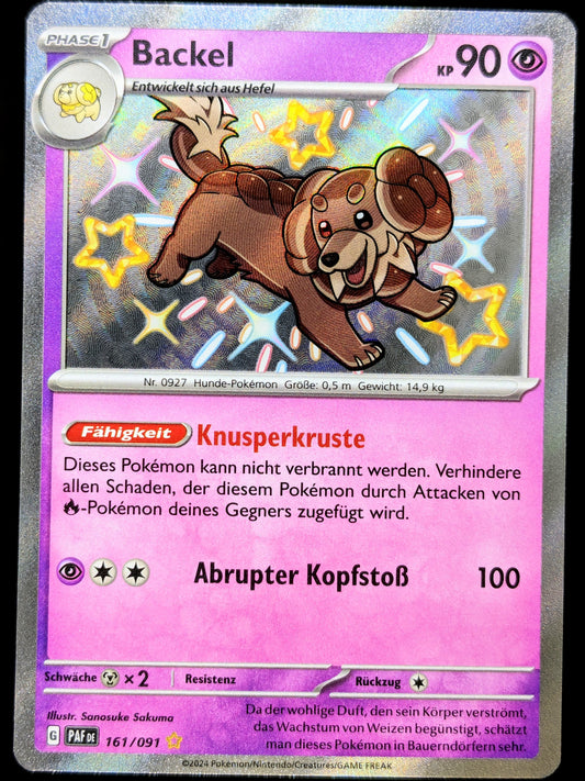 Backel Shiny 161/091 DE
