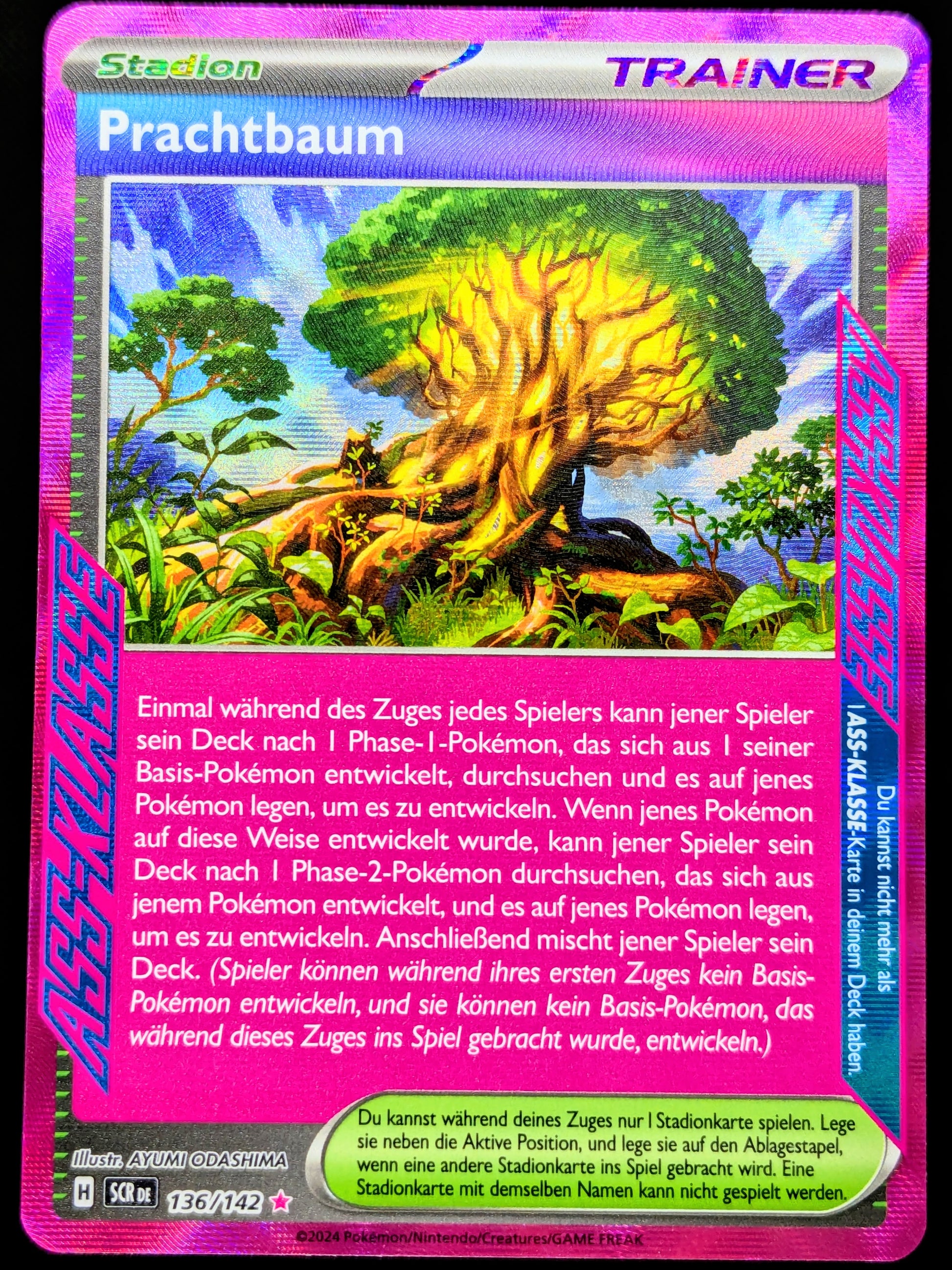 Prachtbaum 136/142 Ass-Klasse DE –