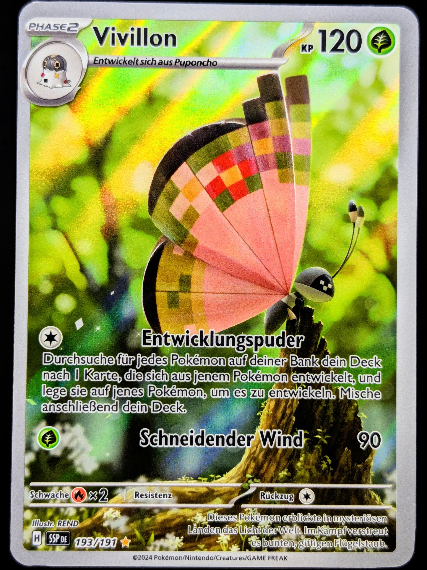Vivillon 193/191 Illustration Rare DE