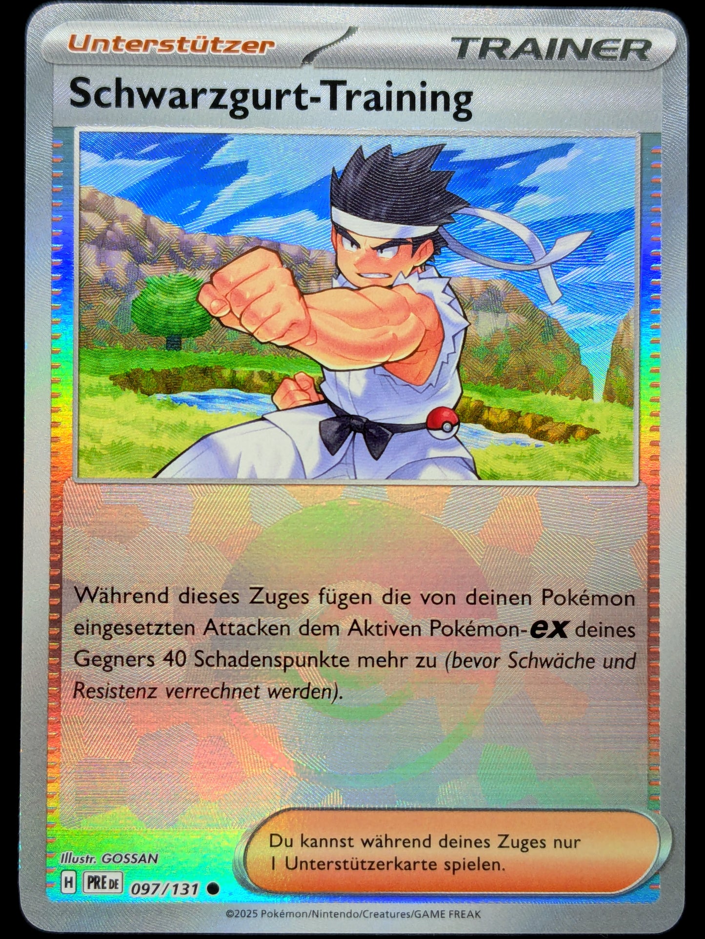 Schwarzgurt-Training Pokéball 097/131 DE
