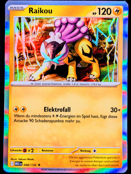 Raikou Holo 048/132 DE