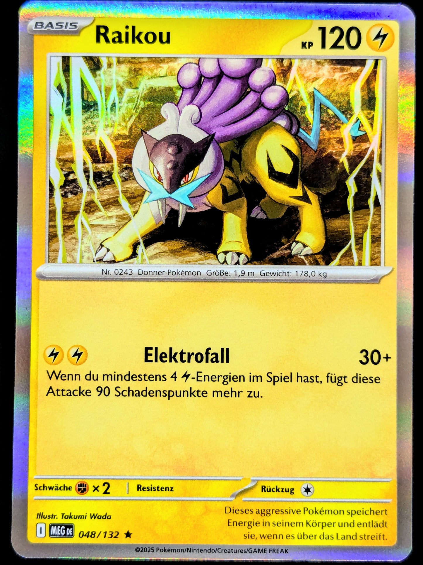 Raikou Holo 048/132 DE
