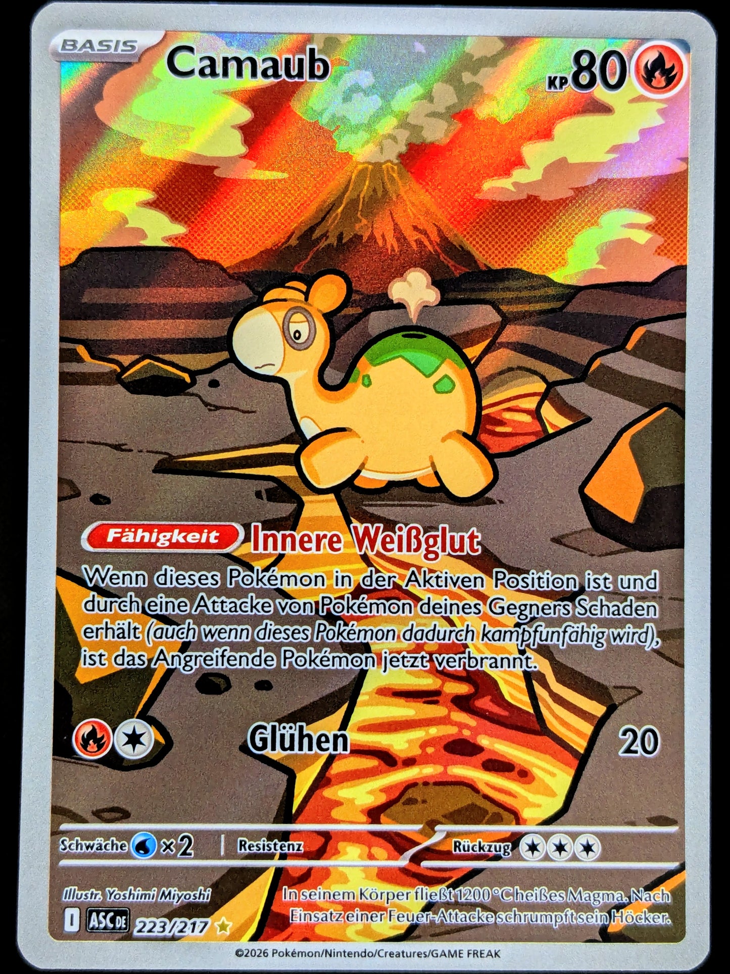 Camaub 223/217 Illustration Rare DE