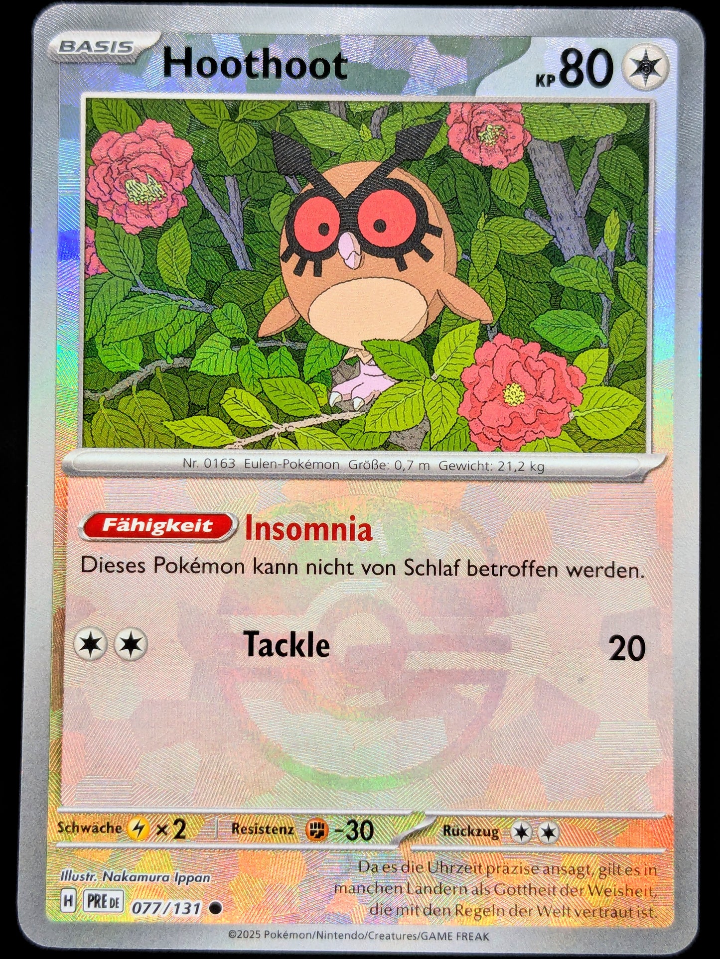 Hoothoot Meisterball 077/131 DE