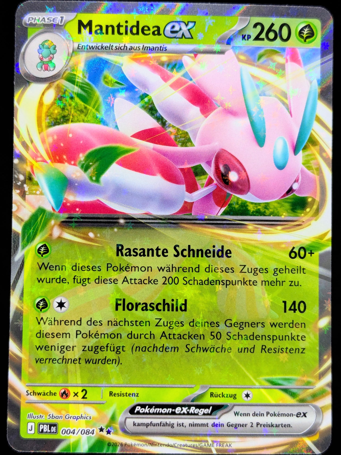 Mantidea Ex 004/084 DE