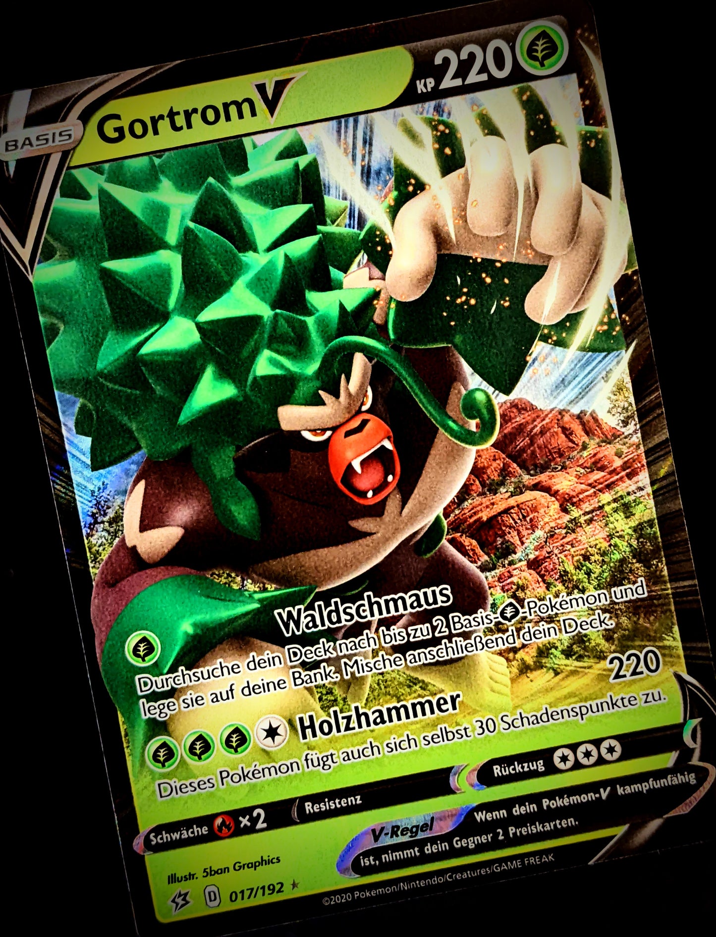 Gortrom V 017/192 DE